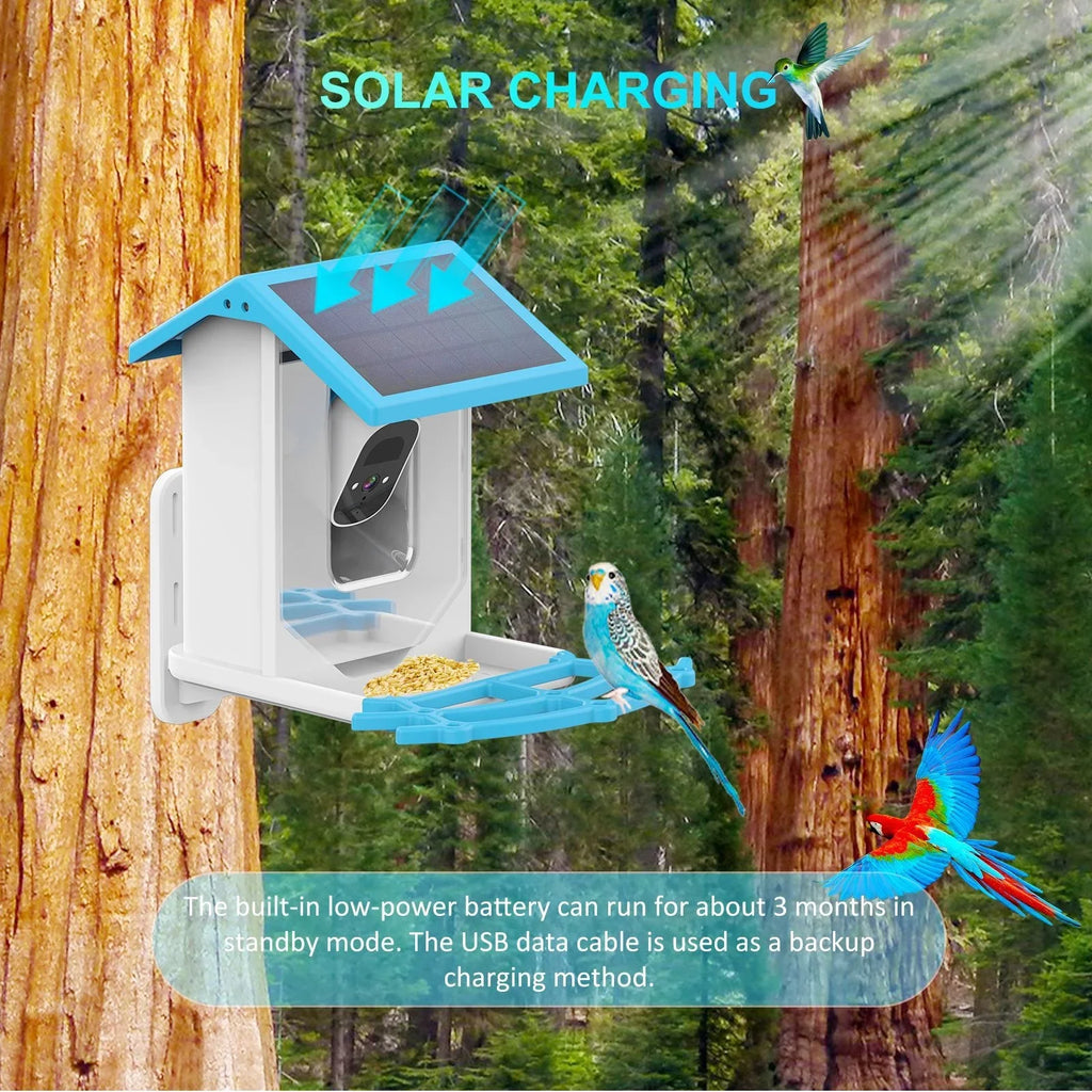 Real-time WaterproofCamera Arealer 1080p Camera Waterproof Smart Surveillance Camera Feeder camera,Ip66 CameraCamera With Feeder LowLowSolar Camera Vision