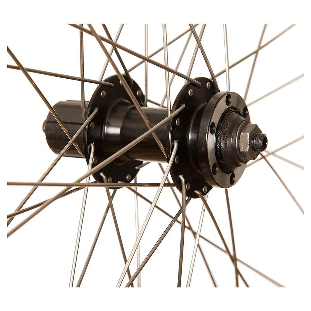 / Disc and 26'' Holes: Rim Wheel DW19-26 559, 36, HG Shimano Rear IS 6-bolt, 135mm, QR, RCG
