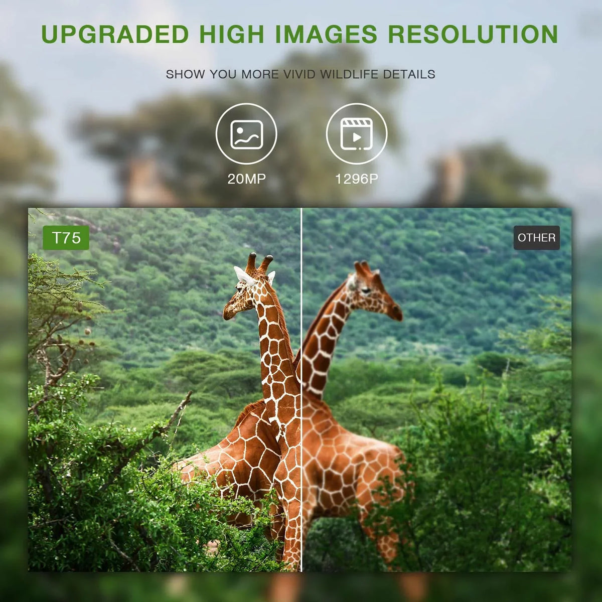 Infrared Trail Cam Game WiFi IP66 Hunting Bluetooth Night Outdoor 20MP Trail Camera Wildlife 1296P CAMPARK 65FT Waterproof Deer Vision Camera