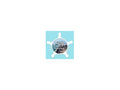 Ss Sea Pint Gray Paint Hawk Outdrive 4731PT;