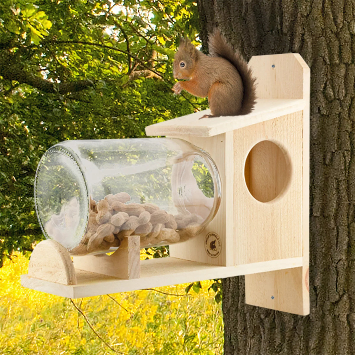 Jar); Food Uncle Squirrel Backyard Rustic Squirrel (w/ Feeder Gallon Glass Handmade Box Dunkels