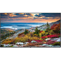 Panasonic Digital Display TH-55CQE1W Signage