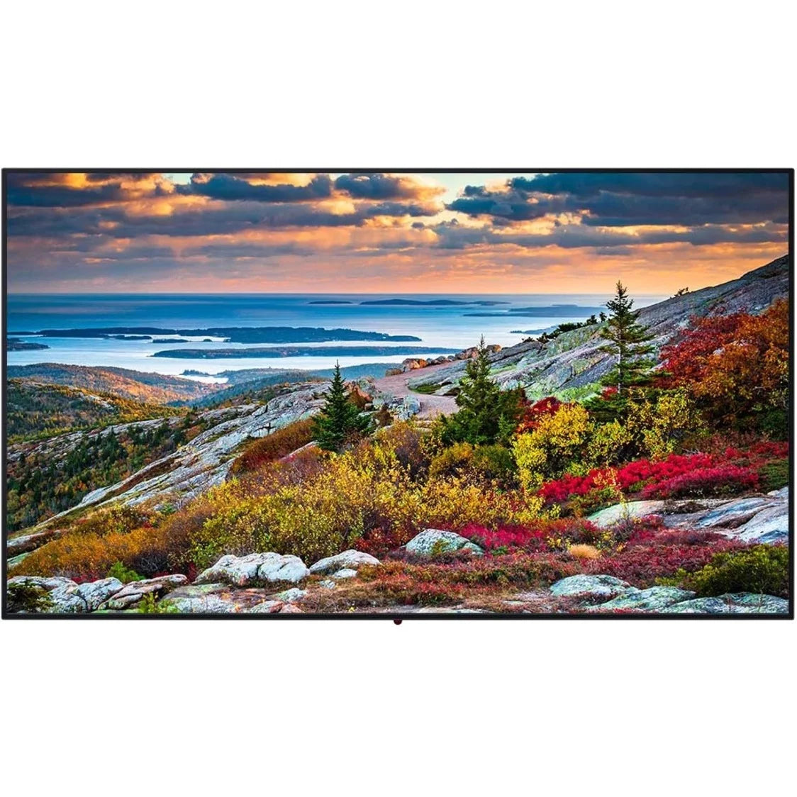 Panasonic Digital Display TH-55CQE1W Signage