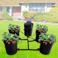Hydroponic System Growing Hydroponics Hydroponics Gardening System Gallon Vegetables Bucket Miumaeov System for 5 Kit System Growing