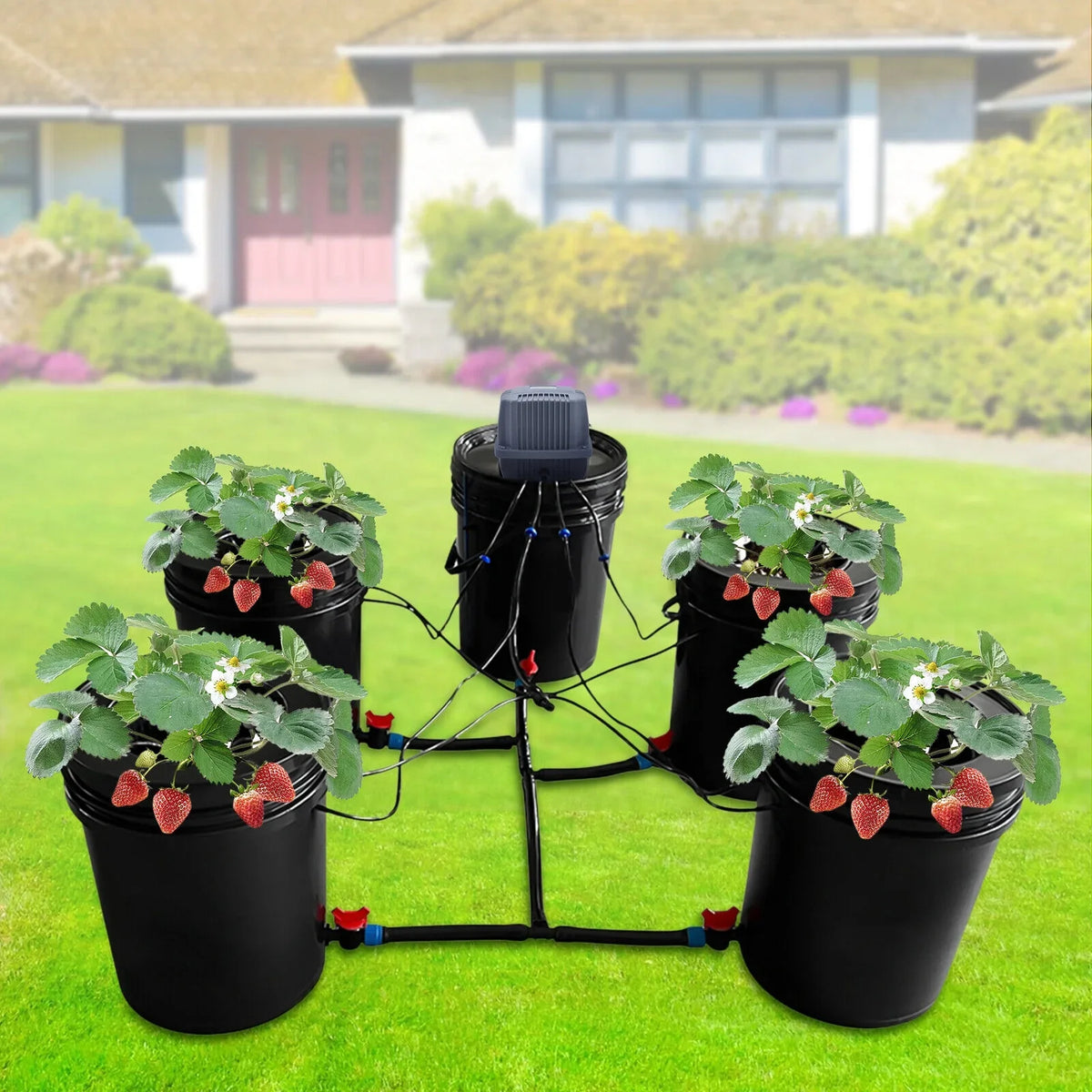 Hydroponic System Growing Hydroponics Hydroponics Gardening System Gallon Vegetables Bucket Miumaeov System for 5 Kit System Growing