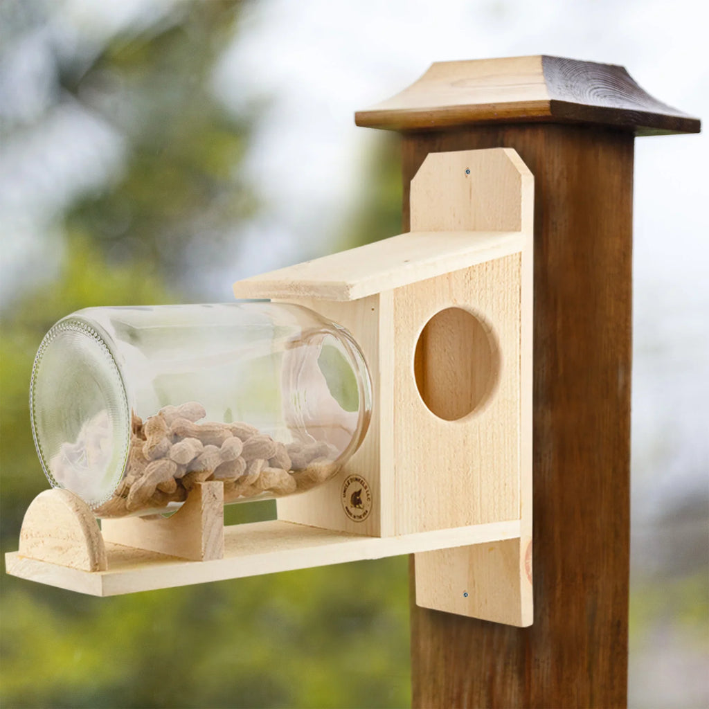 Jar); Food Uncle Squirrel Backyard Rustic Squirrel (w/ Feeder Gallon Glass Handmade Box Dunkels