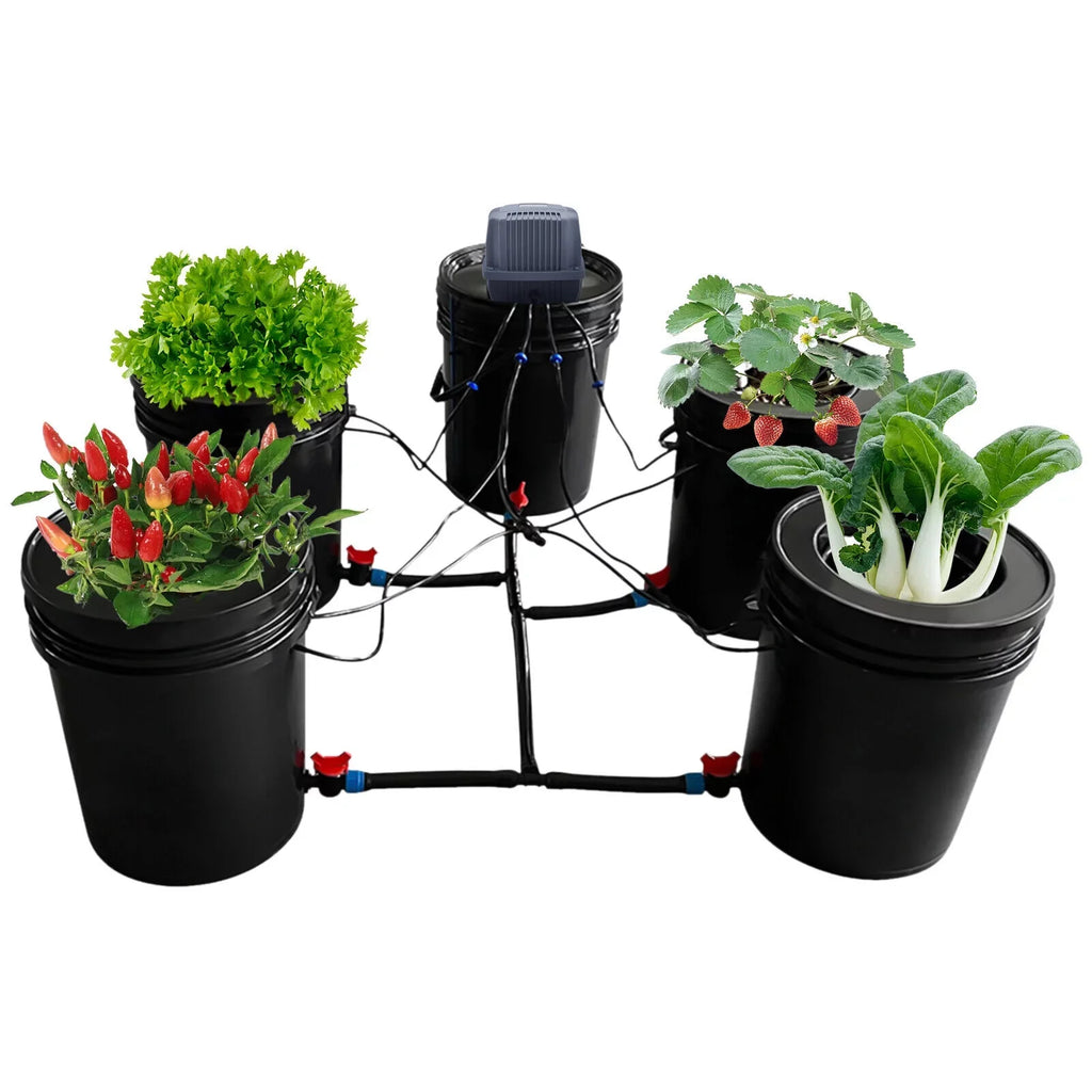 Hydroponic System Growing Hydroponics Hydroponics Gardening System Gallon Vegetables Bucket Miumaeov System for 5 Kit System Growing