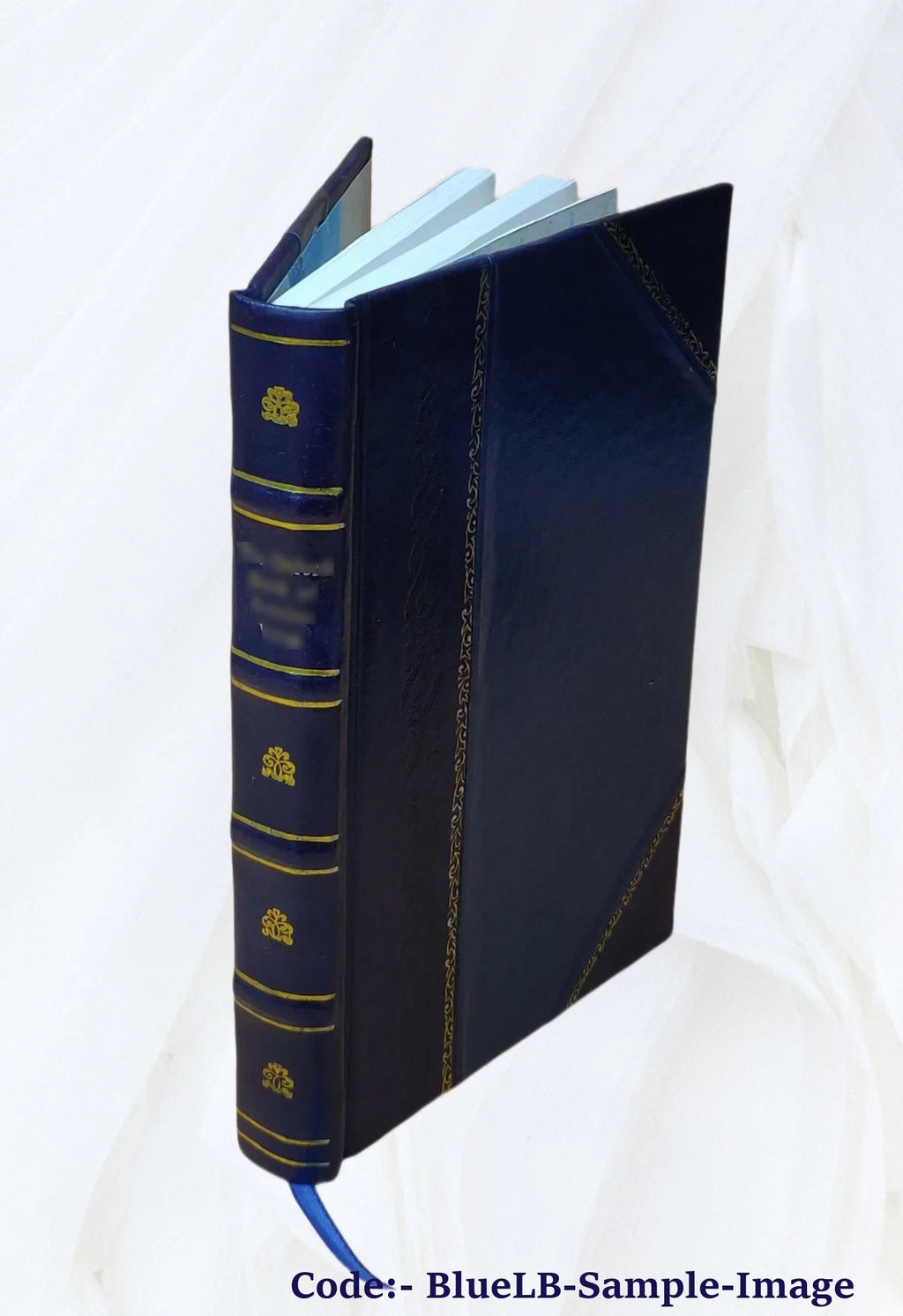1896 1896-1902 by v.2 [LEATHER Volume Sal, BOUND] W. of Harold The geology Point Fairbanks.