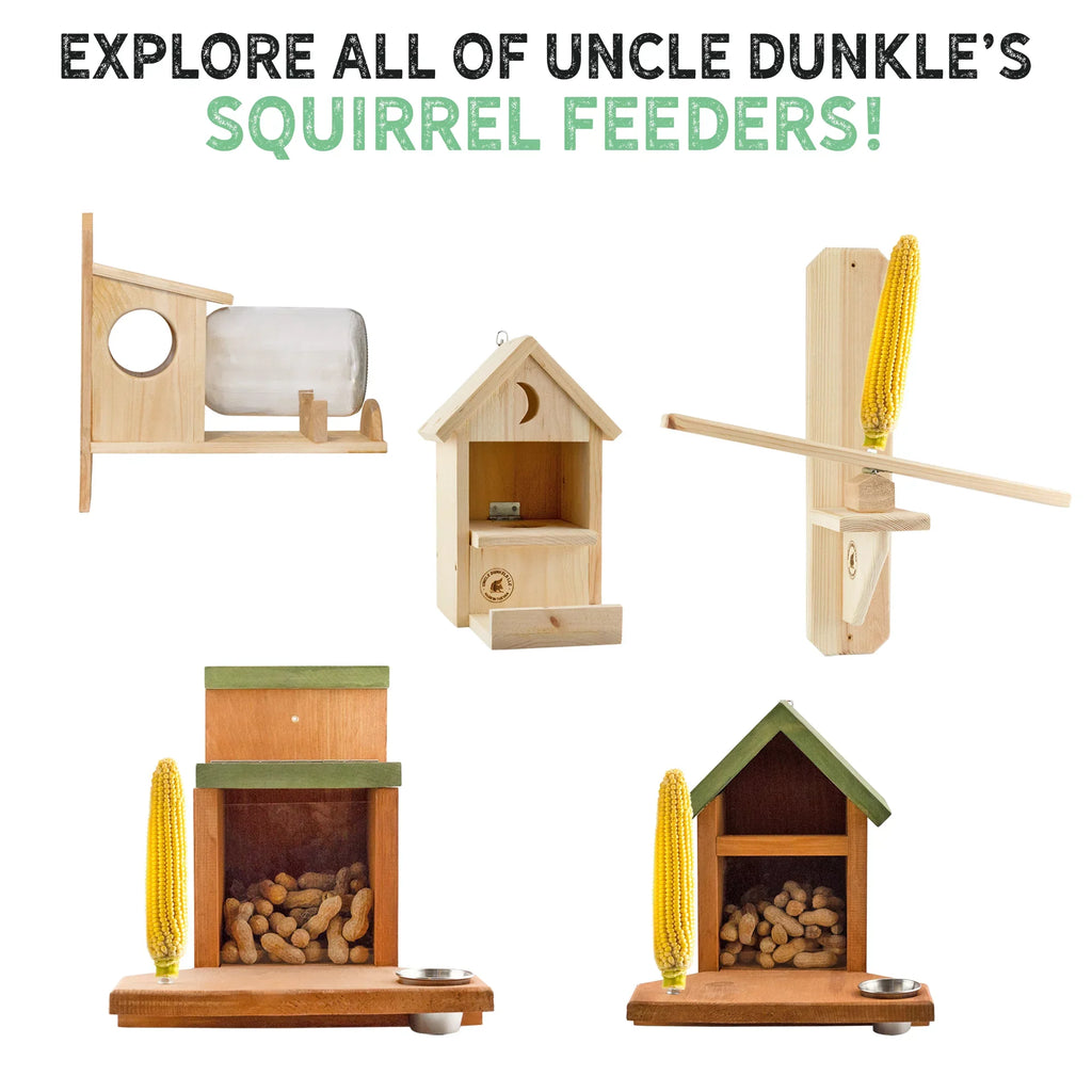 Jar); Food Uncle Squirrel Backyard Rustic Squirrel (w/ Feeder Gallon Glass Handmade Box Dunkels