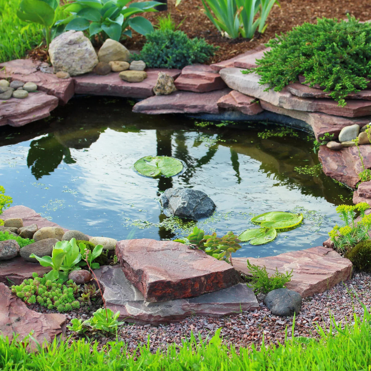 Gardens OFF PONDS UV HOUVSKIM64 with and 32 filter for 16" Large watt HALF Clarifiers Water Ponds (2) - Skimmer