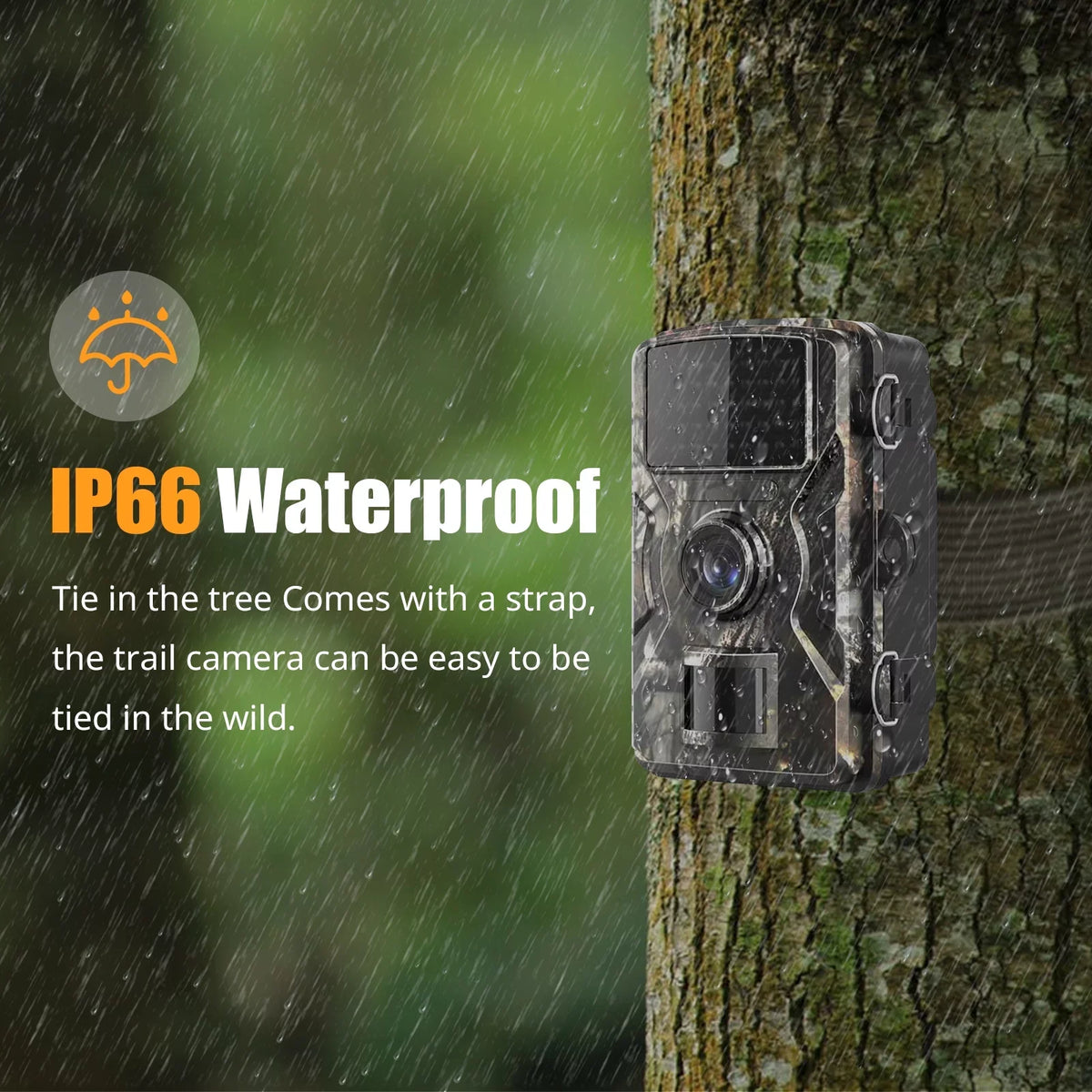 Dadypet Game Trail for Wildlife, IR Color Camera Motion Home and 2.4'' TFT 1080P Waterproof, Night Vision, Detection, Use and Farm, IP66 with Display