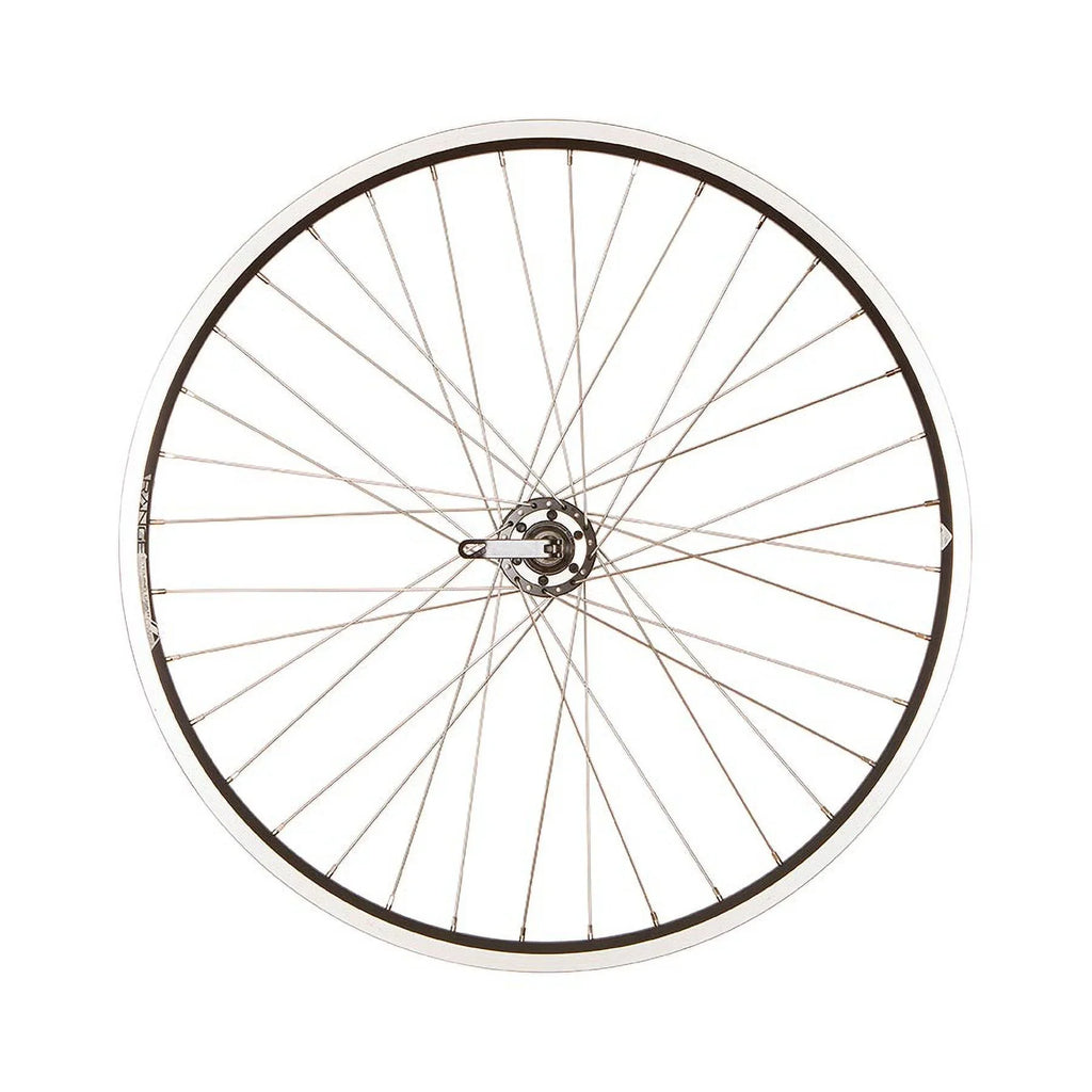 / Disc and 26'' Holes: Rim Wheel DW19-26 559, 36, HG Shimano Rear IS 6-bolt, 135mm, QR, RCG