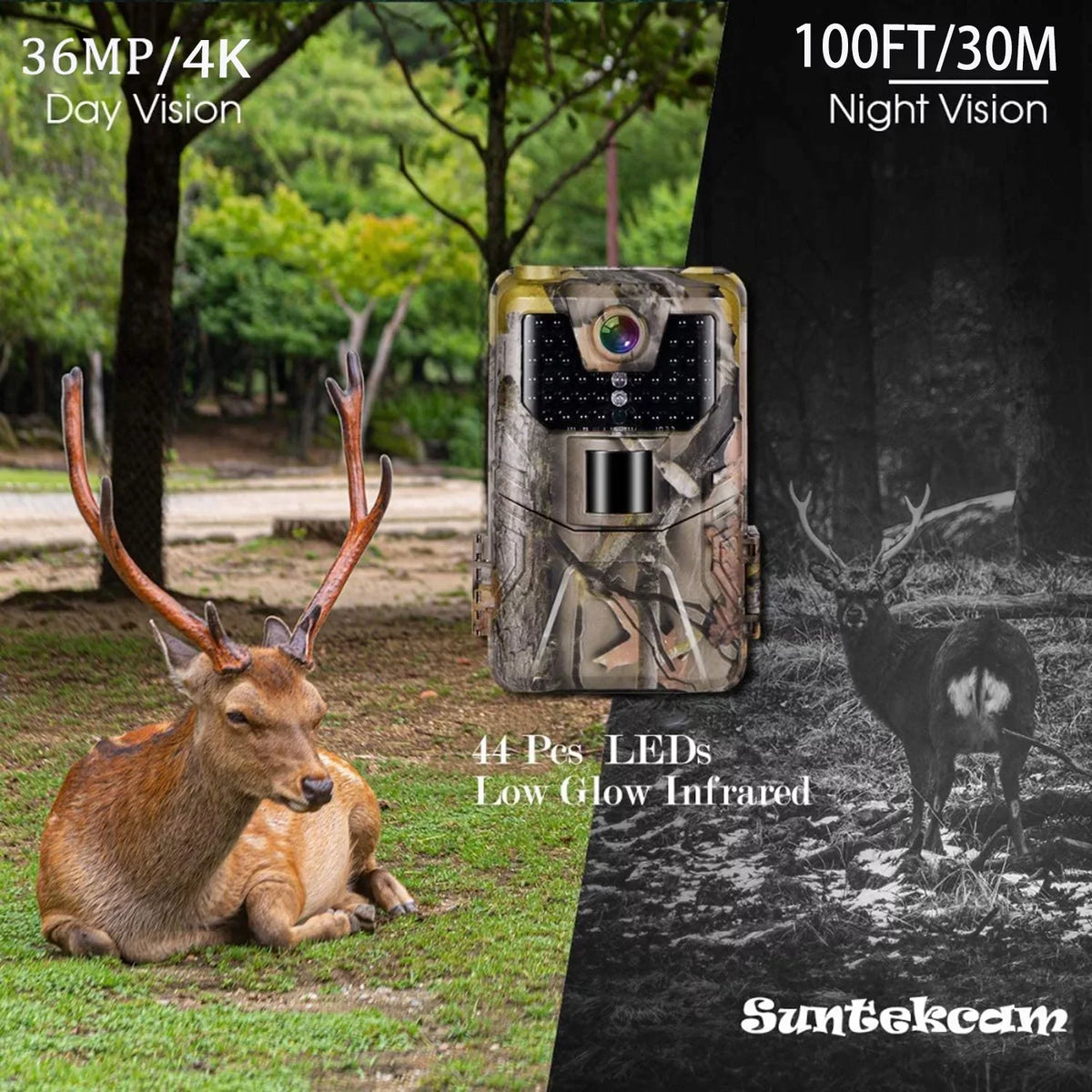 Outdoor Trail Control 36MP/4K HD for Vision Camera WiFi Camera Camera APP Photo Game Wildlife Monitoring SuntekCam Night Traps Scouting Wildlife Waterproof