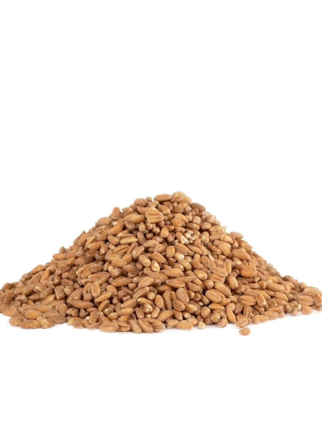 Organic 4) Grain, 24 Mill Ounce Farro Red (Pack of Bob's