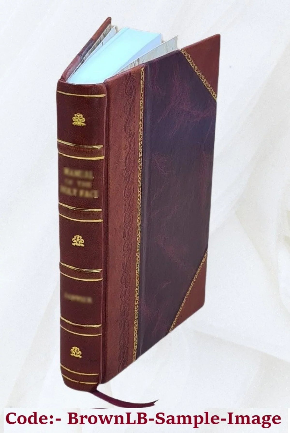 cook The [Leather mountain Bound] Rocky book 1903