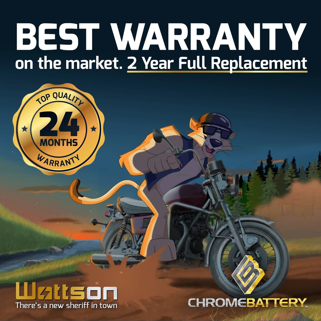 Ski Battery Battery Arctic CCA) for Tiger Cat 97-'99 Shark 12 Chrome 770cc Ah, Jet (14AHL-BS 210 YTX14AHL-BS Volt,12