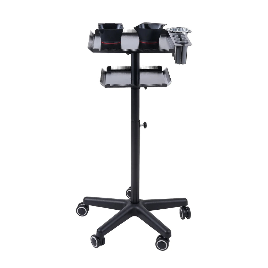 Wheels Cart 2-tier Trolley,Station Hair Stand Salon Movable With Bestauty Cart 2 Clinic Salon Adjustable Adjustable Hair Salon Beauty On Salon Beauty Salons Adjustable 2 Hair Cart Stand Salon Movable