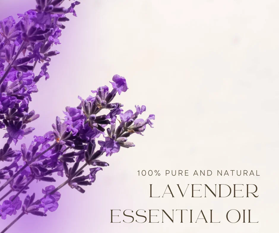 Bottle - Lavender oz 16 GreenHealth w/Plug Oil Grade Cap - Therapeutic ml) (473 Essential Aluminum fl -
