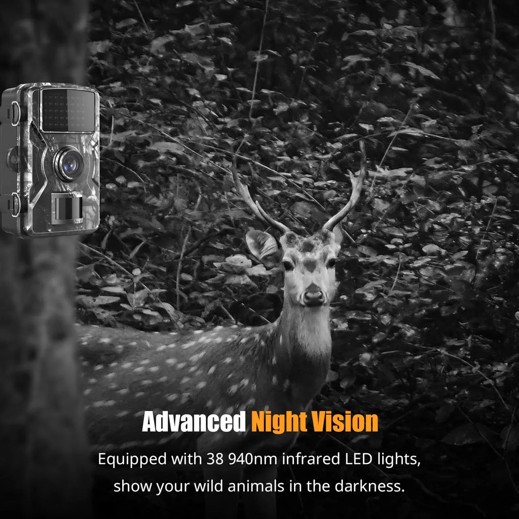 Dadypet Game Trail for Wildlife, IR Color Camera Motion Home and 2.4'' TFT 1080P Waterproof, Night Vision, Detection, Use and Farm, IP66 with Display