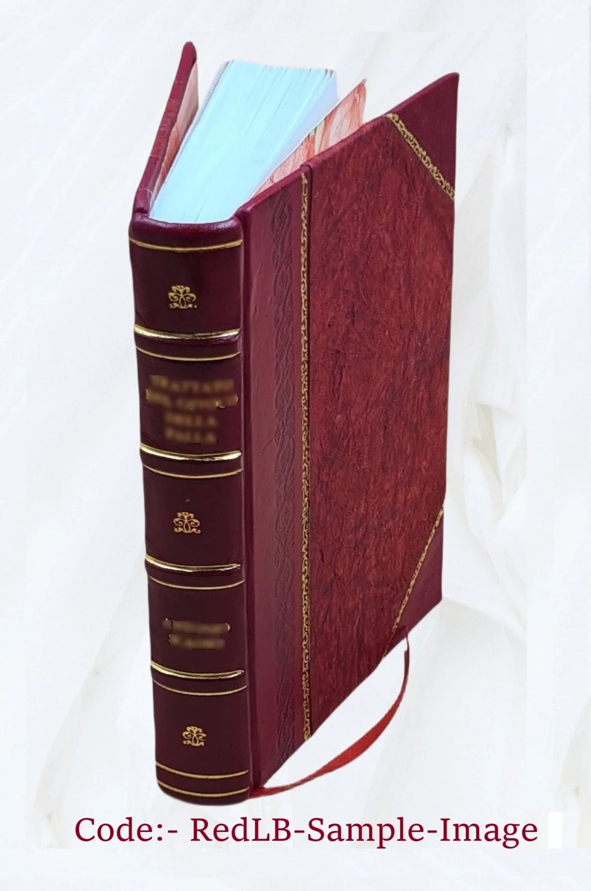 1896 1896-1902 by v.2 [LEATHER Volume Sal, BOUND] W. of Harold The geology Point Fairbanks.