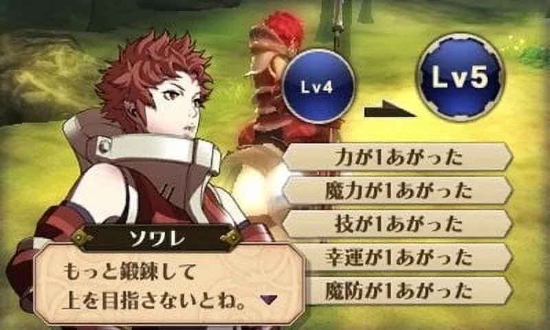 Fire 045496742355 Emblem Nintendo Nintendo Awakening 3DS