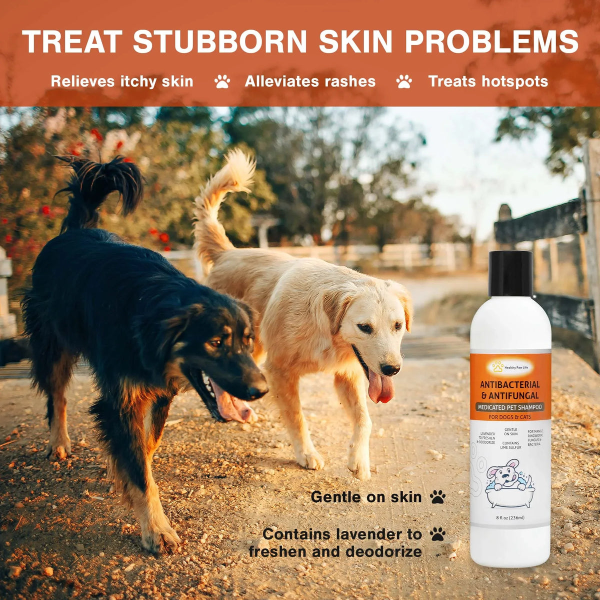 Sulfur Cream - Classic's Shampoo Healthy Paw oz) 2 and Classic's Sulfur Lime Bundle Lime Life oz) (2 (8 Items: