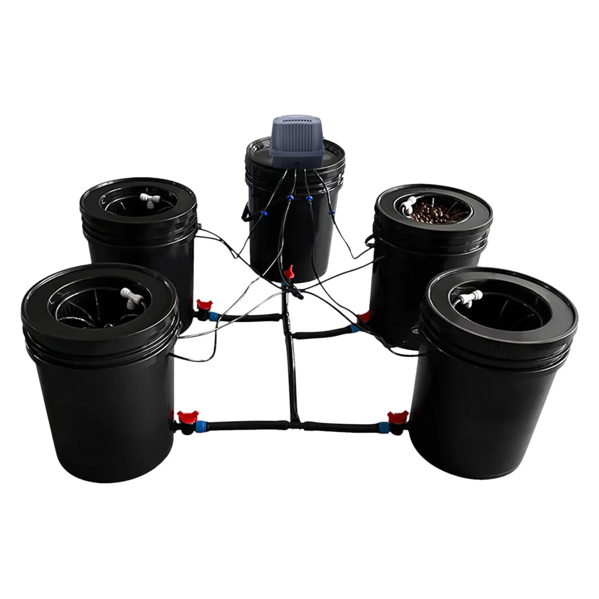 Hydroponic System Growing Hydroponics Hydroponics Gardening System Gallon Vegetables Bucket Miumaeov System for 5 Kit System Growing