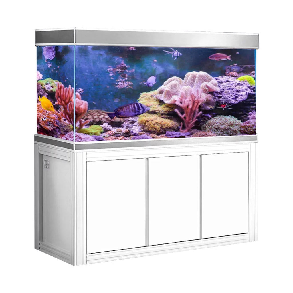 All-in-one White Aquarium Gallon Tempered and 235 Aqua Dream Silver Glass