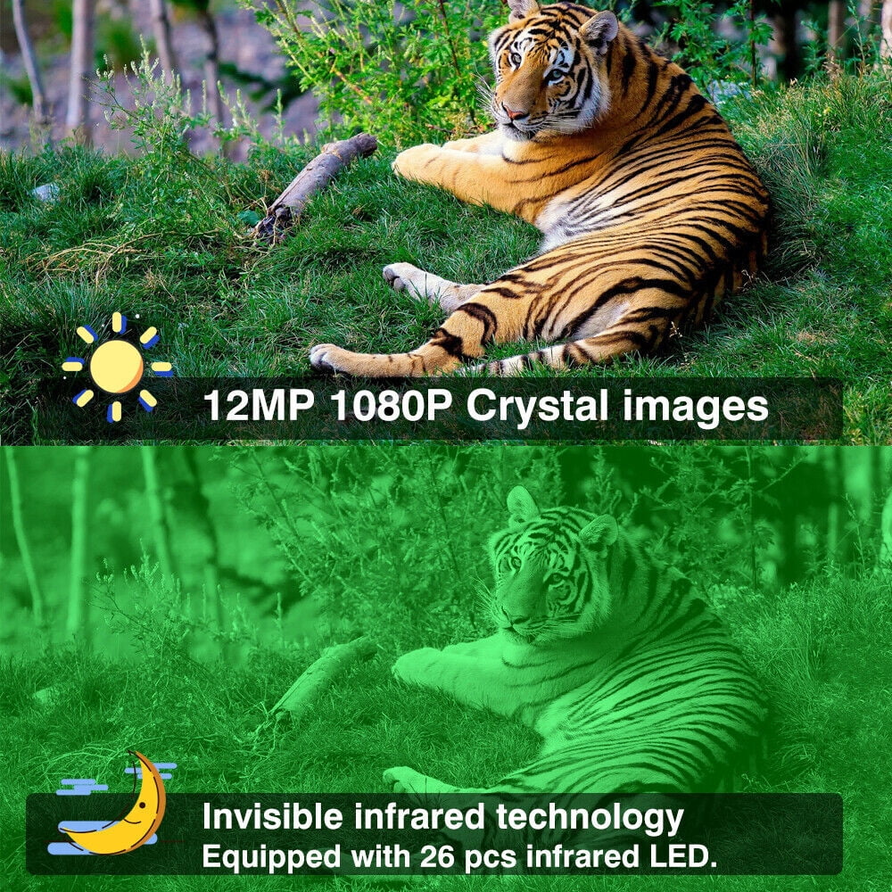 1080P, Wildlife Security, Hunting Included) Trail Card NOT Camera Monitor, Camera,DFITO Infrared Farm Waterproof Trail Wildlife (SD 12MP, Monitoring, Home Monitor, Hunting