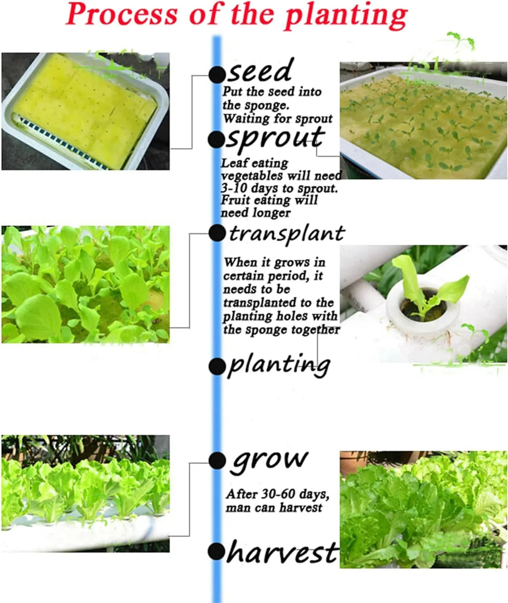 Pipeline Sites 54 Vegetable Plant Growing Machine Hydroponic Grow System