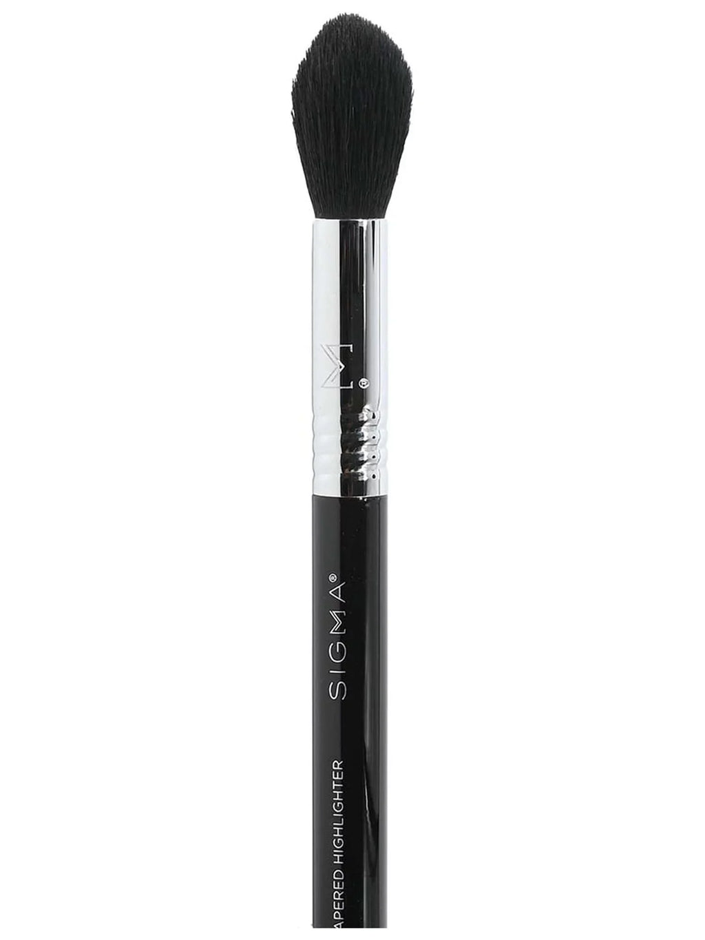 F35 Sigma Tapered Brush Beauty - Highlighter